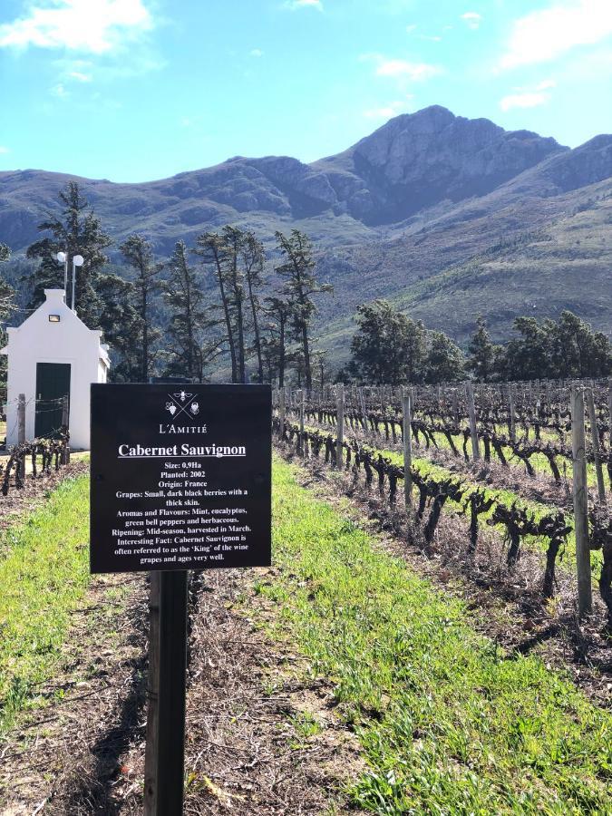 The Vineyard Cottage By L' Amitie Estate Franschhoek Εξωτερικό φωτογραφία