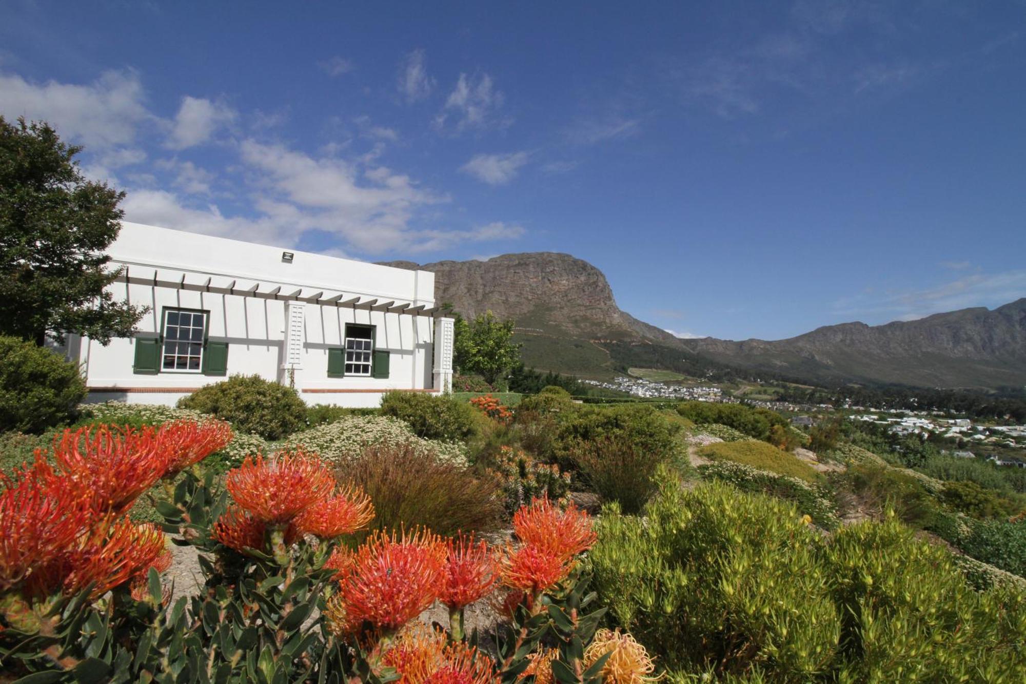 The Vineyard Cottage By L' Amitie Estate Franschhoek Εξωτερικό φωτογραφία